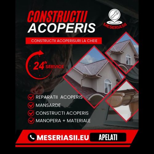 Reparatii Acoperișuri